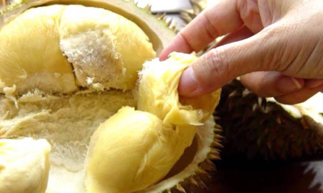 Hikmah Durian  Selepas Banjir