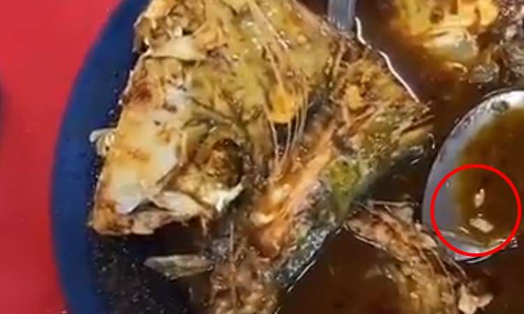 Restoran Asam Pedas Di Melaka Penuh Ulat Diarah Tutup